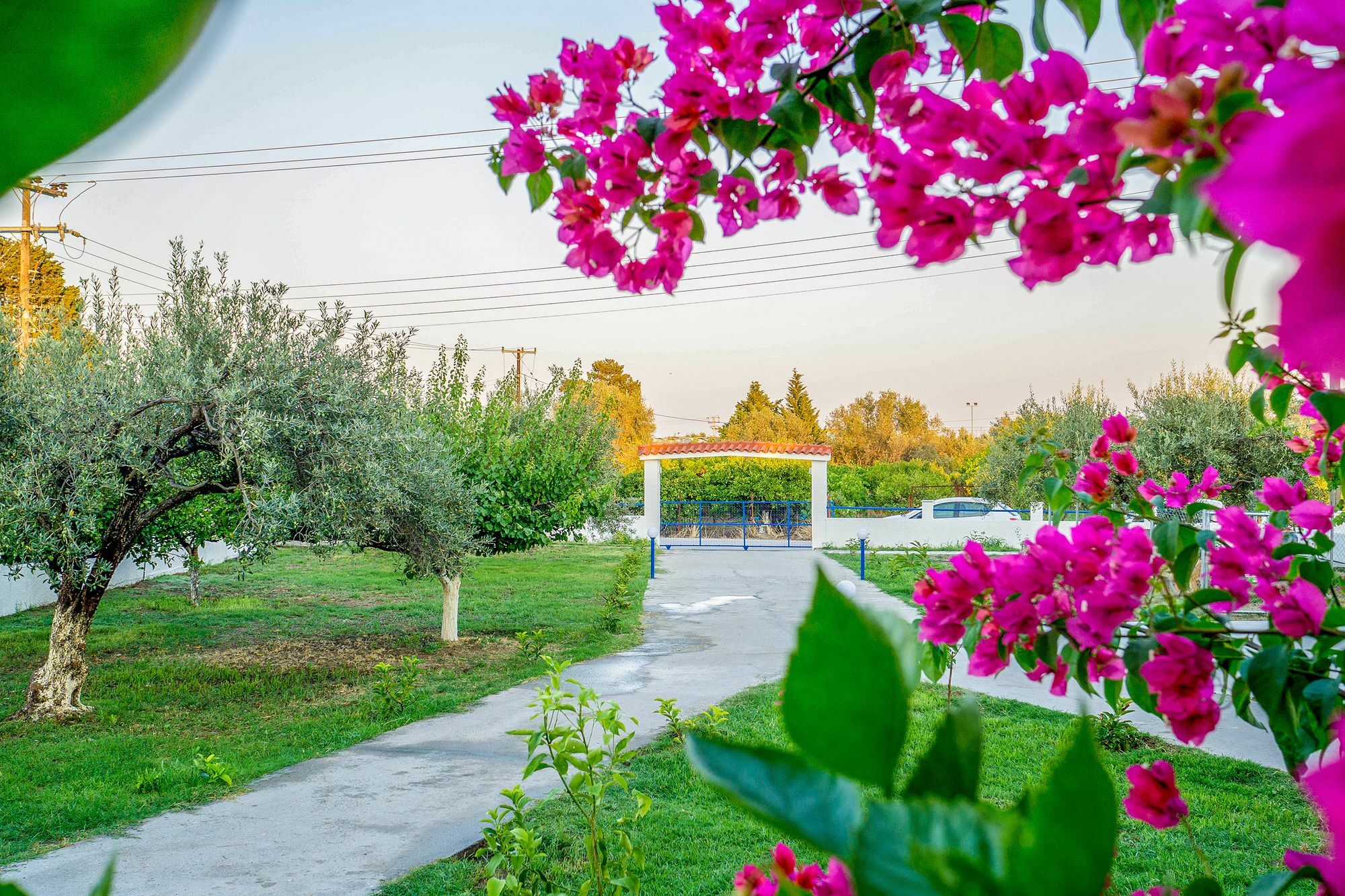 Villa Maroula Afantou Extérieur photo